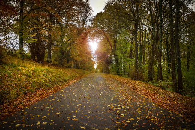 Обои картинки фото природа, дороги, тракт