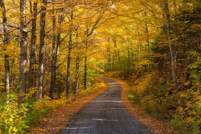 Обои картинки фото природа, дороги, тракт