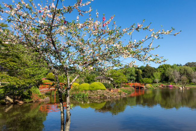 Обои картинки фото природа, парк, рассвет