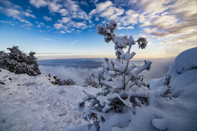 Обои картинки фото природа, зима, снег