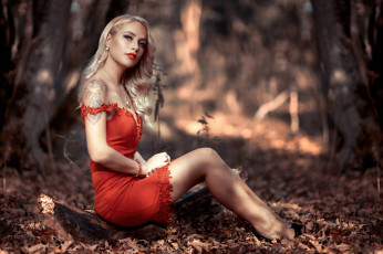 обоя девушка, девушки, -unsort , блондинки,  светловолосые, модель