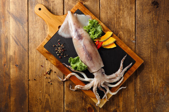 Картинка еда рыба +морепродукты +суши +роллы снедь