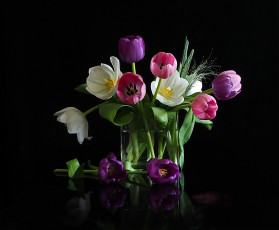 Картинка цветы тюльпаны