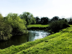 Картинка природа реки озера река лето