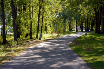 Картинка природа парк аллея