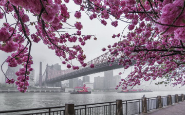 Картинка города нью-йорк+ сша queensboro bridge manhattan east river