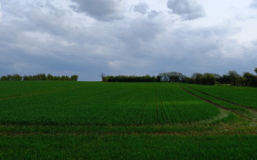 Картинка природа поля поле облака