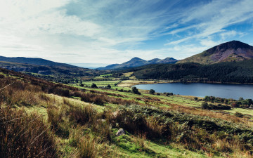 Картинка природа реки озера озеро