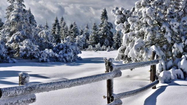 Обои картинки фото природа, зима, снег