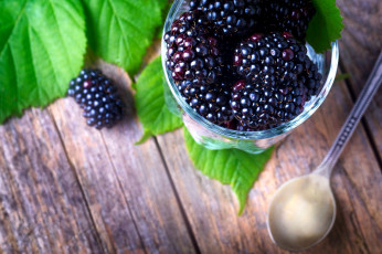 обоя еда, ежевика, ягоды, спелая