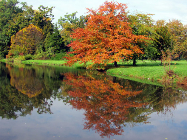 Обои картинки фото природа, реки, озера, река