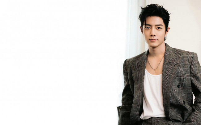 Обои картинки фото мужчины, xiao zhan, актер, костюм