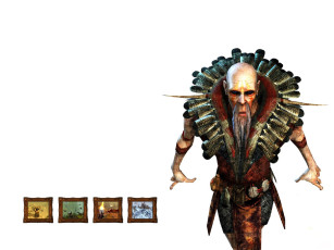 обоя видео игры, rise of nations,  rise of legends, шаман, перья, борода, картины