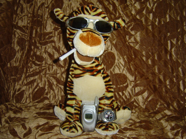 Обои картинки фото тигра, юмор, приколы