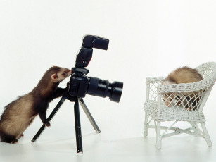 Картинка юмор приколы