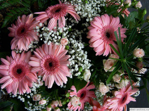 Картинка цветы букеты композиции