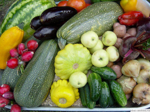 Картинка еда овощи