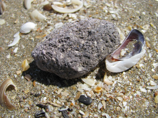 Обои картинки фото 