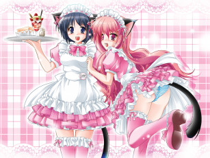 Картинка аниме zero no tsukaima