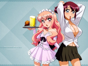 Картинка аниме zero no tsukaima