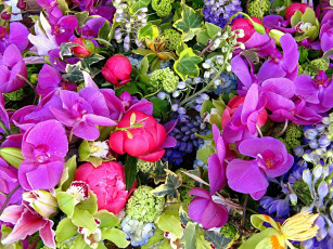 Картинка цветы разные вместе