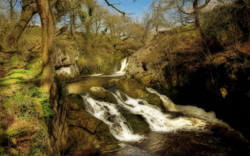 Картинка природа реки озера