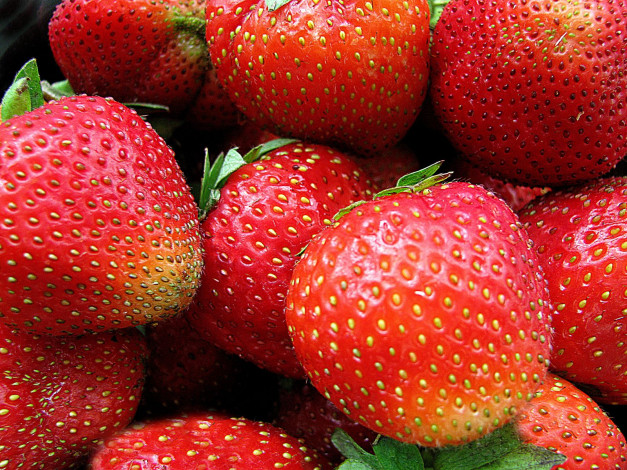 Обои картинки фото еда, клубника, земляника