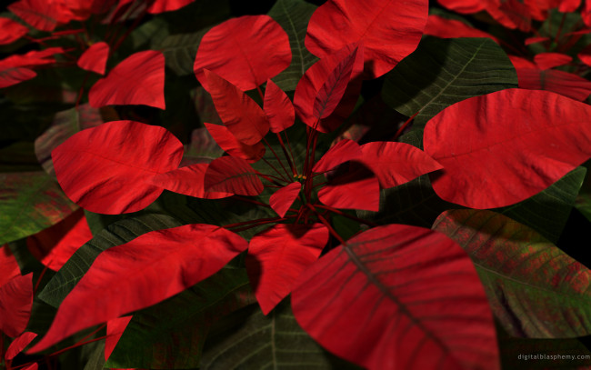 Обои картинки фото 3д, графика, nature, landscape, природа