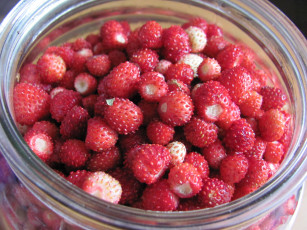 Картинка еда клубника земляника розовые много