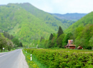 Картинка природа дороги