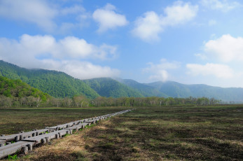 Картинка природа поля луг деревья