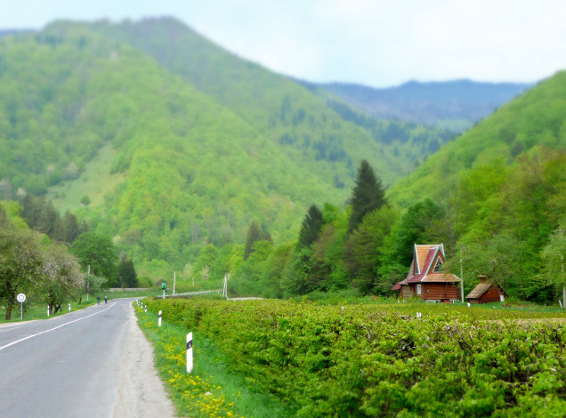 Обои картинки фото природа, дороги