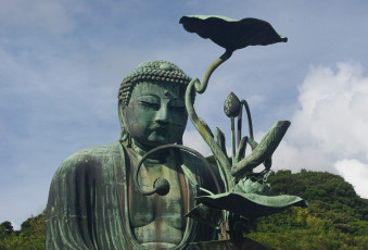 Картинка разное религия лотос будда