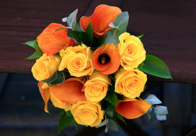 Обои картинки фото цветы, букеты, композиции, каллы, розы