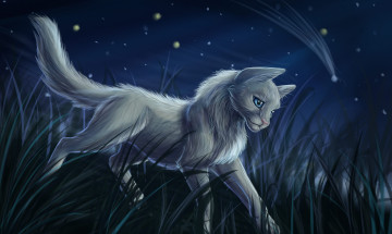 Картинка рисованное животные +коты кот взгляд фон трава ночь