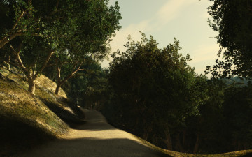 Картинка 3д+графика природа+ nature дорога лес лето