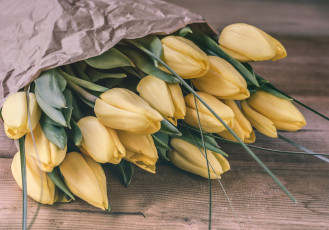 Картинка цветы тюльпаны цвет цветение