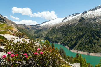 Картинка природа горы кустарники река снег цветы