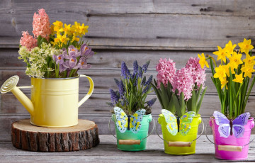 Картинка цветы букеты +композиции мускари крокусы весна декор бабочки лейка ведёрки жёлтые нарциссы гиацинты hyacinth
