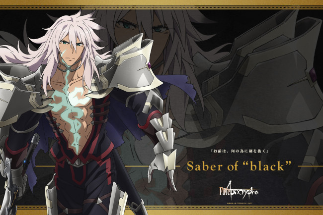 Обои картинки фото fateapocrypha, аниме, fate, stay night, фон, взгляд, парень