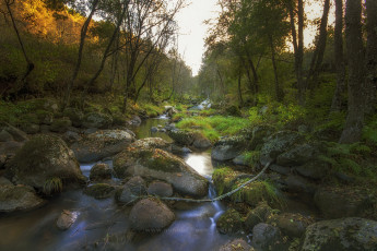 Картинка природа реки озера простор