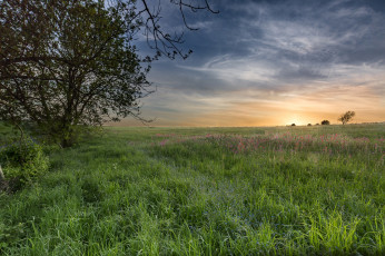 Картинка природа поля простор