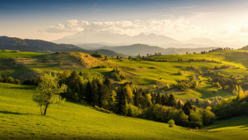 Картинка природа пейзажи простор