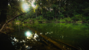 Картинка природа реки озера простор