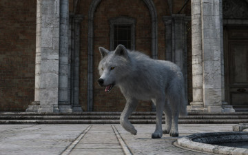 Картинка 3д+графика животные+ animals волк фон