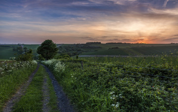 Картинка природа дороги простор