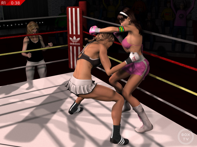 Обои картинки фото 3д графика, спорт , sport, бокс, ринг, фон, взгляд, девушки