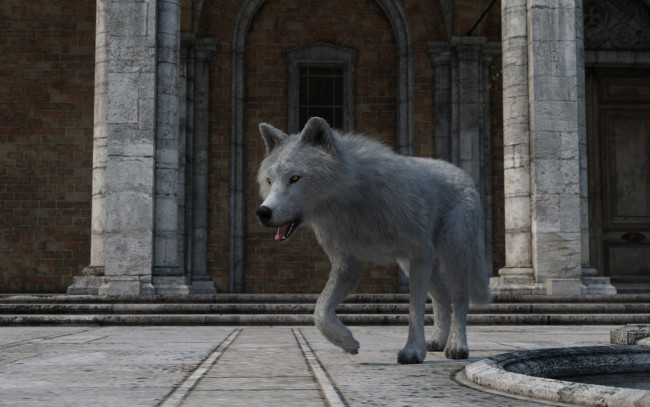 Обои картинки фото 3д графика, животные , animals, волк, фон