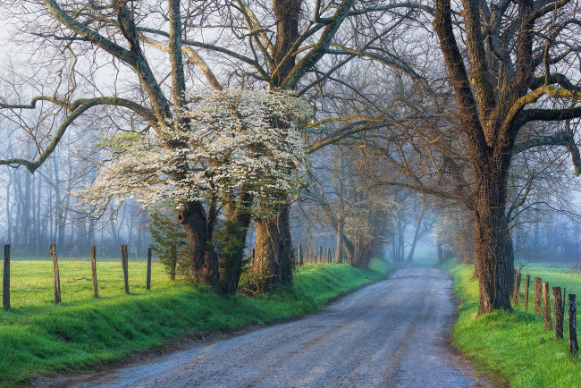 Обои картинки фото природа, дороги, простор