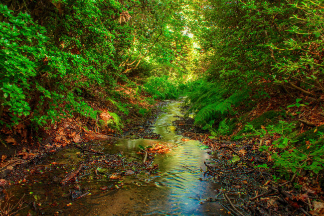 Обои картинки фото природа, реки, озера, простор